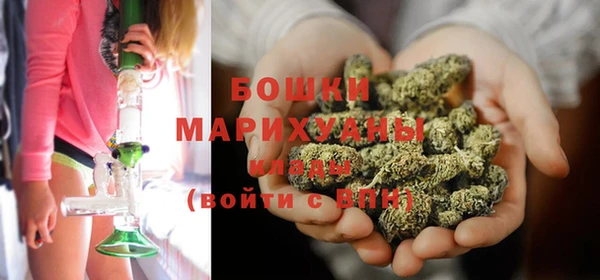 индика Болотное