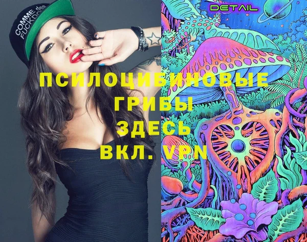 герыч Елабуга
