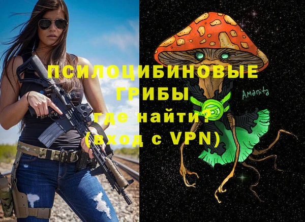 MESCALINE Ельня